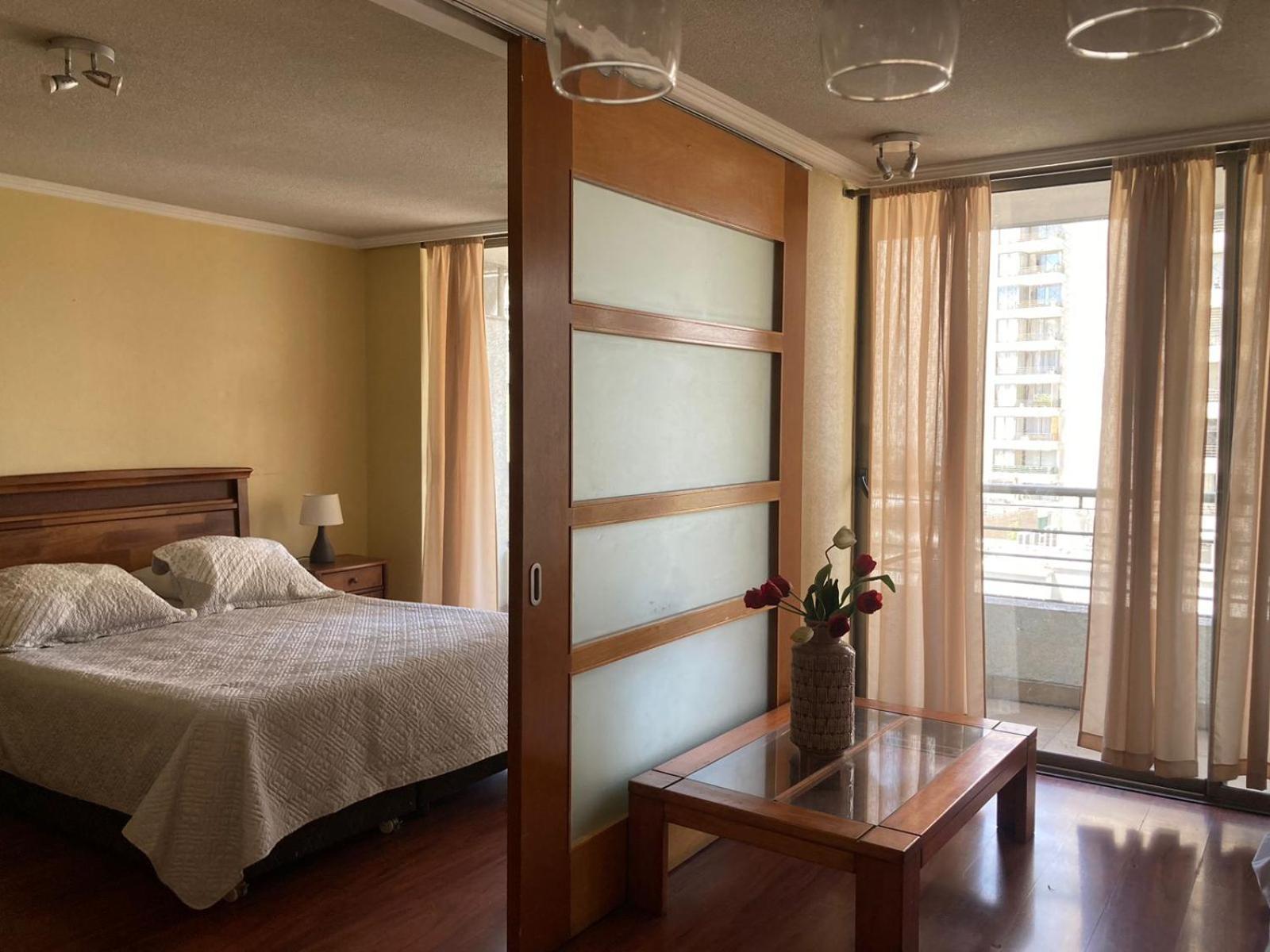 Depto Manuel Montt Providencia Apartment *